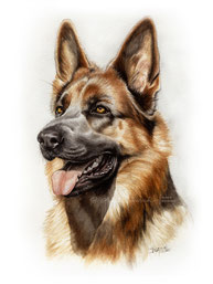 Hundeportrait in Aquarell malen lassen nach Foto. Portrait vom eigenen Hund 
