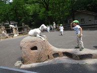 「少しずつ近付いて・・・ヨッ‼」