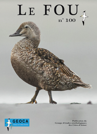 GEOCA, Groupe d'Etudes Ornithologiques des Côtes-d'Armor, ornithologie, observation oiseaux Côtes-d'Armor, avifaune Côtes-d'Armor, revue trimestrielle, Le Fou, publication GEOCA, Bretagne, Côtes-d'Armor