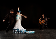 FLamenco Ulm / Neu-Ulm 