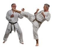 Karate für Erwachsene