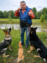 Hundeexperte Günter Ostermeier bei der Arbeit