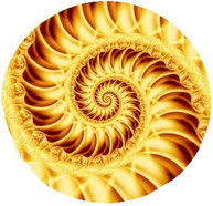 Bild goldene Spirale Fotolia 42626567