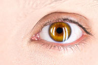 oeil 