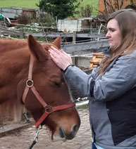 Craniosacral Therapie Pferd