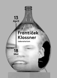 franticek-klossner-publikation-zur-ausstellung-in-der-kunsthalle-wil-sg-alchemie-und-kunst-laboratorium-bizarre-bildwelten