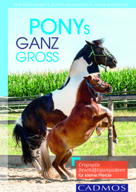 Ponys ganz groß - Originelle Beschäftigungsideen für kleine Pferde