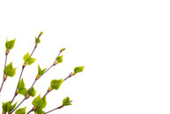 Collège de Psychologie Analytique, psychanalyse jungienne