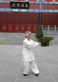 tanja eisentraut, training, coaching, ganzheitlich, qigong, qi gong, über mich, wofür ich stehe, wie ich arbeite