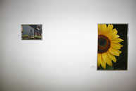 12 Meine Fotografien "Haus" und "Sonnenblume"/My photos "Haus" and "Sonnenblume"