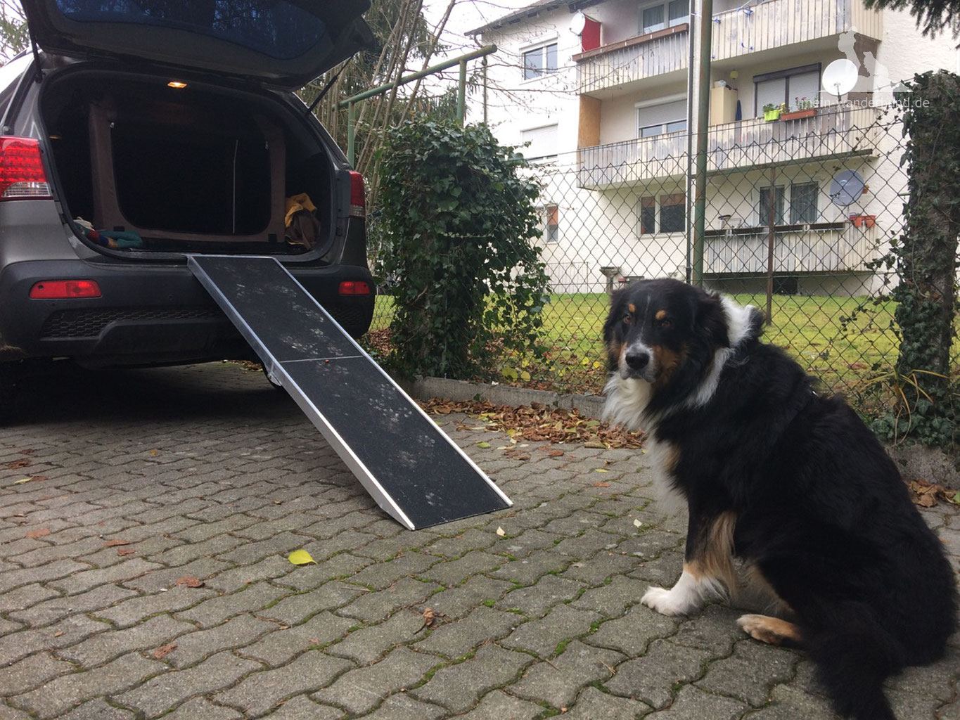 Hunderampe aus Alu frs Auto - Wandern mit Hund