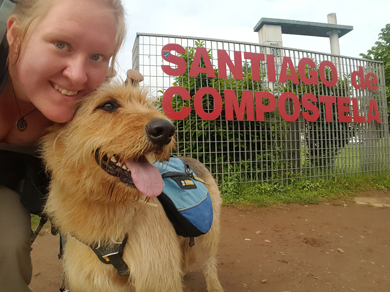 Weitwandern mit Hund Mit Vierbeiner auf dem Jakobsweg Wandern mit Hund
