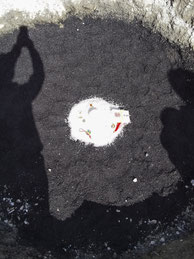 土をかぶせる前の状態