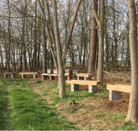 Nouveau rucher en forêt