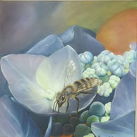 Biene auf Hortensie 40x40 Öl