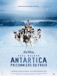 film antartica chiens de traineaux