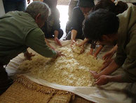 味噌や甘酒用に糀作りを初体験。3日間泊りがけで参加した人も！