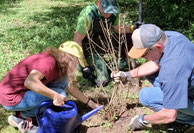 Projektgruppe bei Arbeit, Foto: A. Bossert