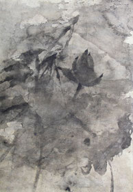 荷花66 LOTUS 66 60X36CM 纸本水墨与植物色 INK & MINERAL COLOR ON PAPER 2005 (收藏于上海 COLLECTED IN SHANGHAI)