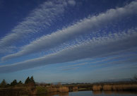 橋本 ゆき子 雲とあそんで 渡良瀬遊水池