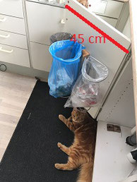 Affaldssortering med Flower, her er 3 affaldsstativer er sat op på kun 45 cm køkkenlåge. Med en kattekilling!