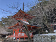 2021/12 PHOTO