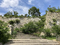2025/05 PHOTO