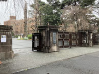 2026/03 PHOTO