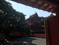 2018/06 PHOTO