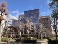 2021/02 PHOTO