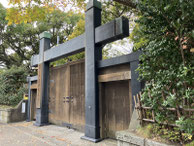 2025/11 PHOTO