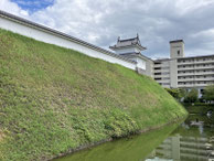 2025/08 PHOTO
