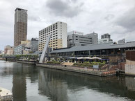 2019/05