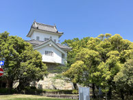 2023/05 PHOTO