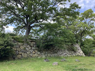 2025/05 PHOTO