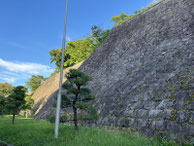 2025/08 PHOTO