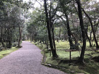 2020/02 PHOTO