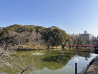 2026/02 PHOTO