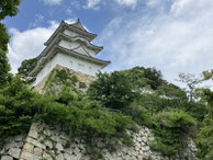 2025/05 PHOTO