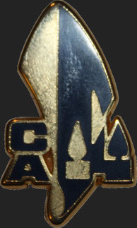 Pin's Chantiers de l'Atlantique