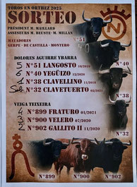 Toros de Veiga Teixeira et Dolores Aguirre pour Luis Gerpe, Juan de Castilla et Francisco Montero