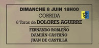 Toros de Dolores Aguirre pour Fernando Robleño, Damian Castaño et Juan de Castilla