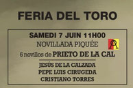 Toros de Prieto de la Cal pour Jesus de la Calzada, Joa d'Alva et Pepe Luis Cirugeda