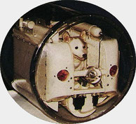 Laika dans la capsule de Spoutnik 2 par coach canin 16 educateur canin cognac