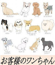 小岩井カンタービレに宿泊した犬の写真