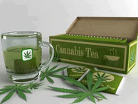 The cannabis