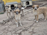 Sam, Samos und Smockey 