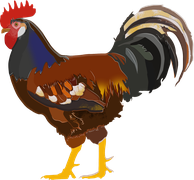 Arbeitskreis Schwedisches Blumenhuhn zur Erhaltung der Schwedischen Blumehnhühner