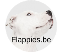 prive hondentrainer, prive hondentraining, gedragsbegeleiding hond, gedrag hond, puppytraining, puppy opvoeden