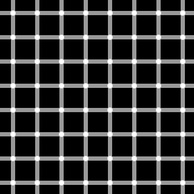 Griglia scintillante: nelle intersezioni delle linee bianche è possibile osservare delle macchie grigie in continuo cambiamento.